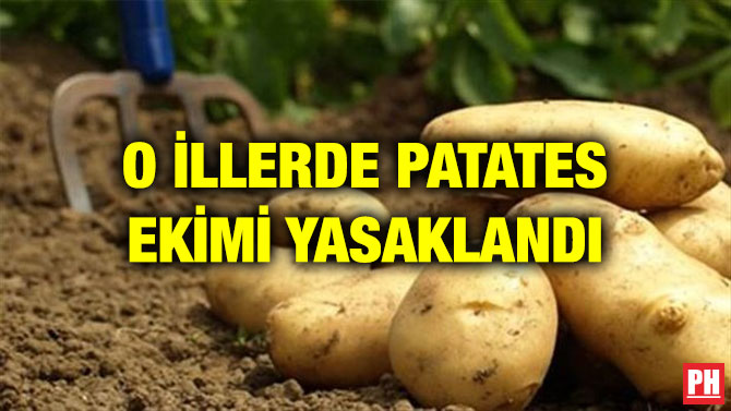 O İLLERDE PATATES EKİMİ YASAKLANDI