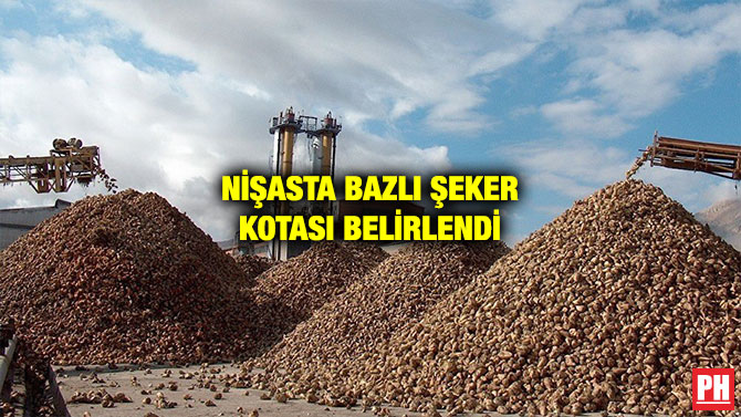 NİŞASTA BAZLI ŞEKER KOTASI BELİRLENDİ