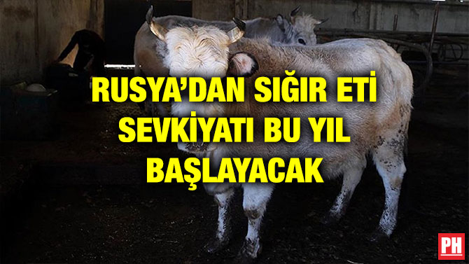 RUSYA’DAN SIĞIR ETİ SEVKİYATI BU YIL BAŞLAYACAK