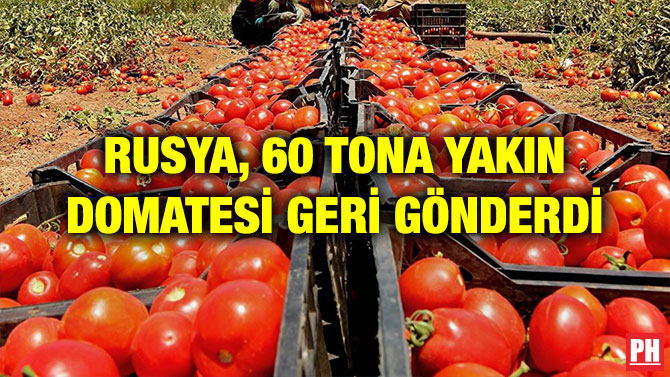 RUSYA, 60 TONA YAKIN DOMATESİ GERİ GÖNDERDİ