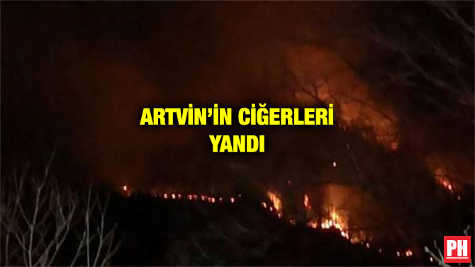 ARTVİN’İN CİĞERLERİ YANDI