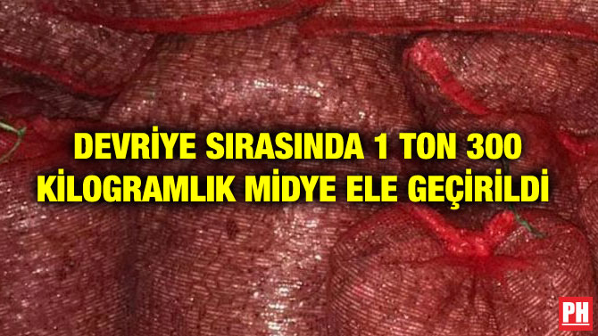 DEVRİYE SIRASINDA 1 TON 300 KİLOGRAMLIK MİDYE ELE GEÇİRİLDİ