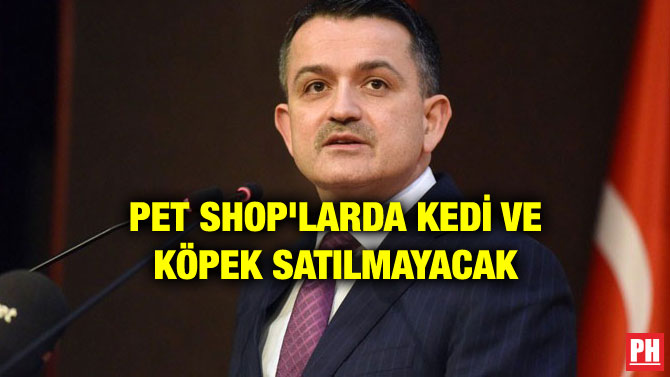 PET SHOP’LARDA KEDİ VE KÖPEK SATILMAYACAK