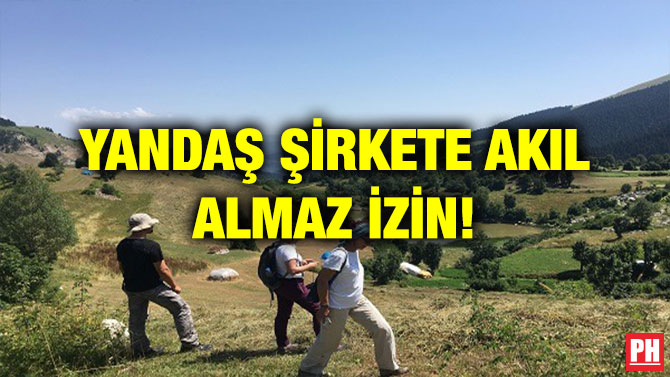 YANDAŞ ŞİRKETE AKIL ALMAZ İZİN!