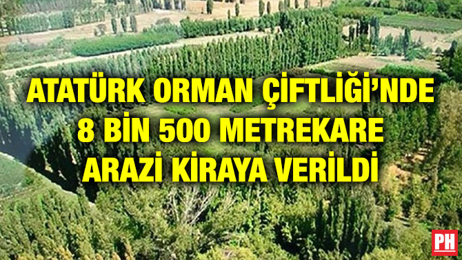 ATATÜRK ORMAN ÇİFTLİĞİ’NDE 8 BİN 500 METREKARE ARAZİ KİRAYA VERİLDİ