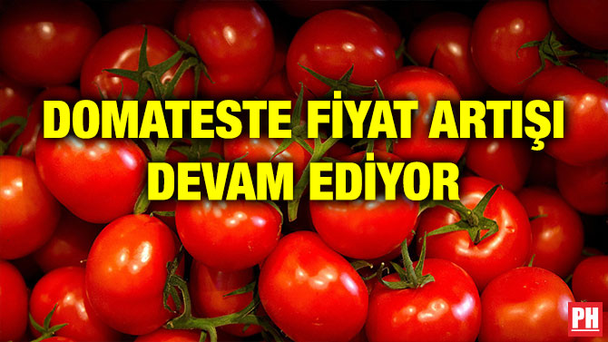 DOMATESTE FİYAT ARTIŞI DEVAM EDİYOR