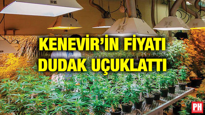 KENEVİR’İN FİYATI DUDAK UÇUKLATTI