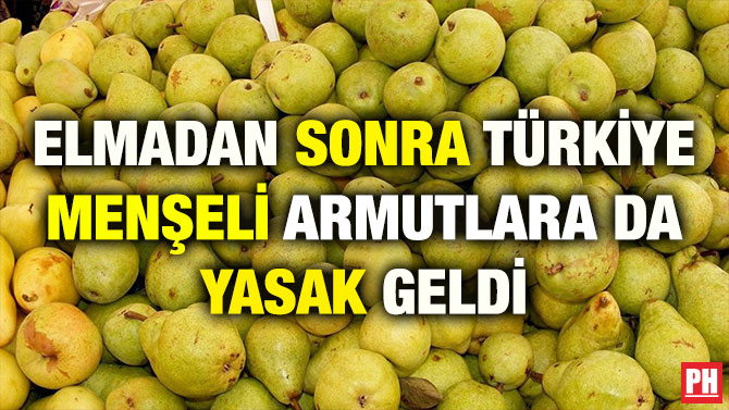 ELMADAN SONRA TÜRKİYE MENŞELİ ARMUTLARA DA YASAK GELDİ