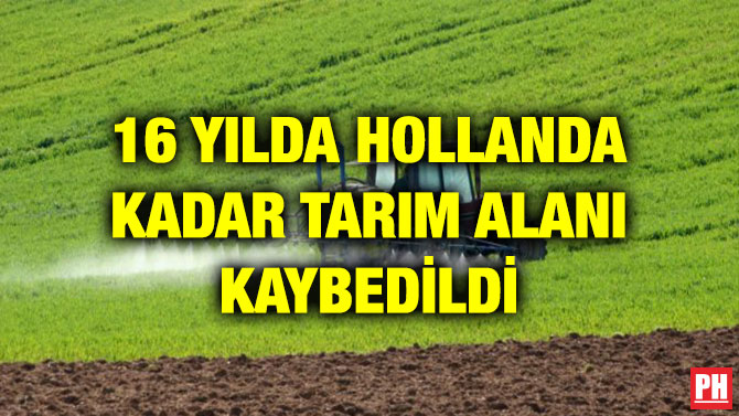 16 YILDA HOLLANDA KADAR TARIM ALANI KAYBEDİLDİ