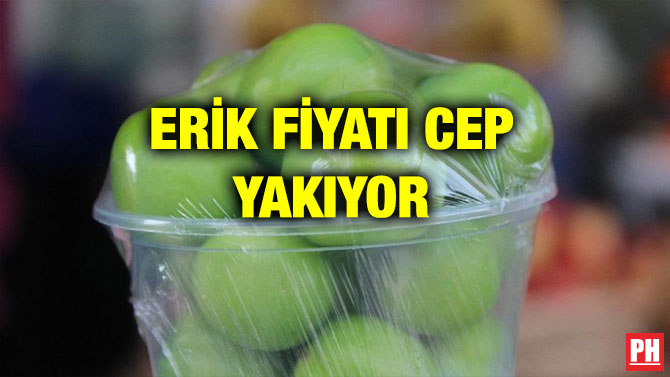 ERİK FİYATI CEP YAKIYOR
