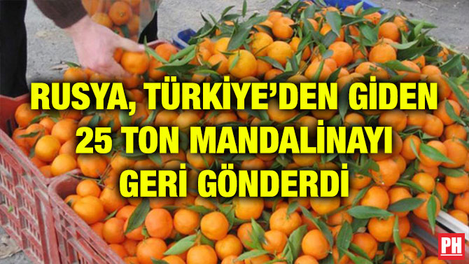 RUSYA, TÜRKİYE’DEN GİDEN 25 TON MANDALİNAYI GERİ GÖNDERDİ