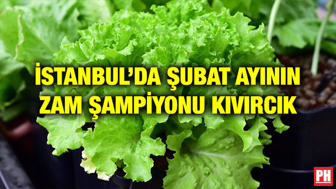 İSTANBUL’DA ŞUBAT AYININ ZAM ŞAMPİYONU KIVIRCIK