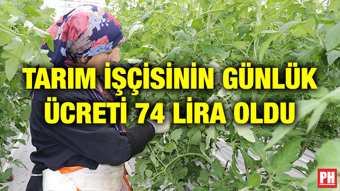 TARIM İŞÇİSİNİN GÜNLÜK ÜCRETİ 74 LİRA OLDU