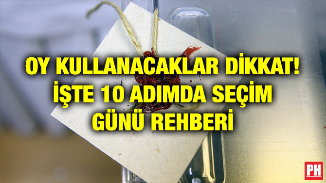 OY KULLANACAKLAR DİKKAT! İŞTE 10 ADIMDA SEÇİM GÜNÜ REHBERİ