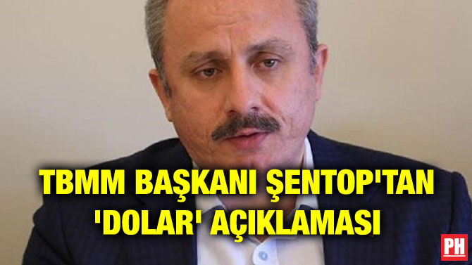 TBMM BAŞKANI ŞENTOP’TAN ‘DOLAR’ AÇIKLAMASI