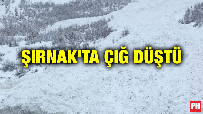 ŞIRNAK’TA ÇIĞ DÜŞTÜ