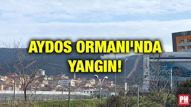 AYDOS ORMANI’NDA YANGIN!