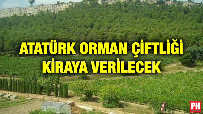 ATATÜRK ORMAN ÇİFTLİĞİ KİRAYA VERİLECEK