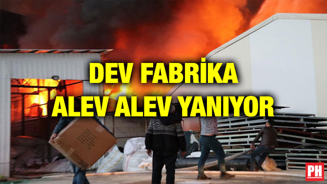DEV FABRİKA ALEV ALEV YANIYOR