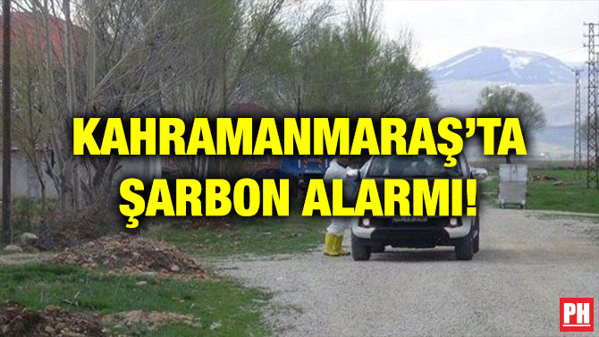 KAHRAMANMARAŞ’TA ŞARBON ALARMI!