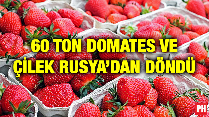 60 TON DOMATES VE ÇİLEK RUSYA’DAN DÖNDÜ