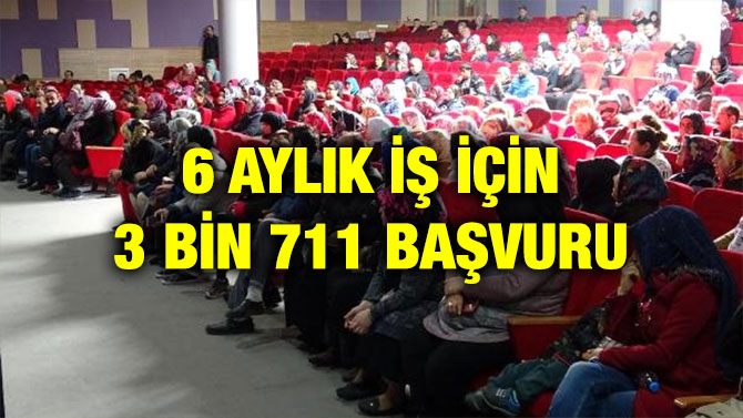6 AYLIK İŞ İÇİN 3 BİN 711 BAŞVURU