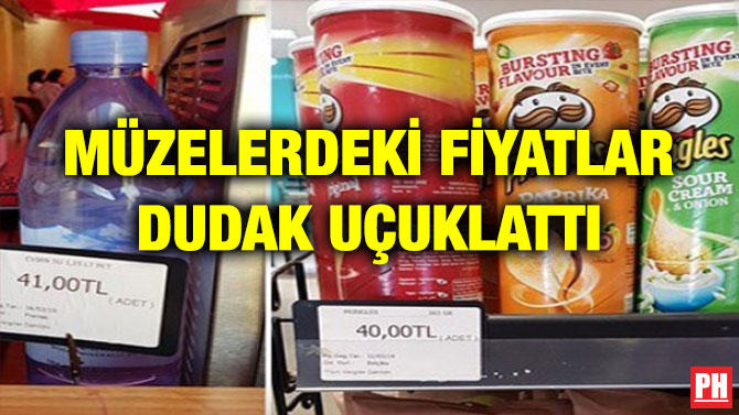 MÜZELERDEKİ FİYATLAR DUDAK UÇUKLATTI