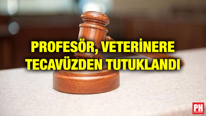 PROFESÖR, VETERİNERE TECAVÜZDEN TUTUKLANDI