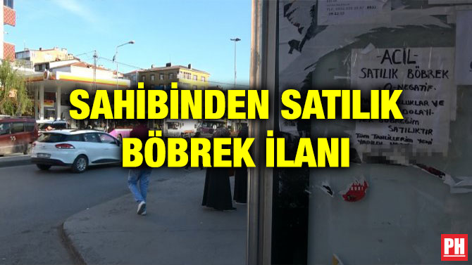 SAHİBİNDEN SATILIK BÖBREK İLANI