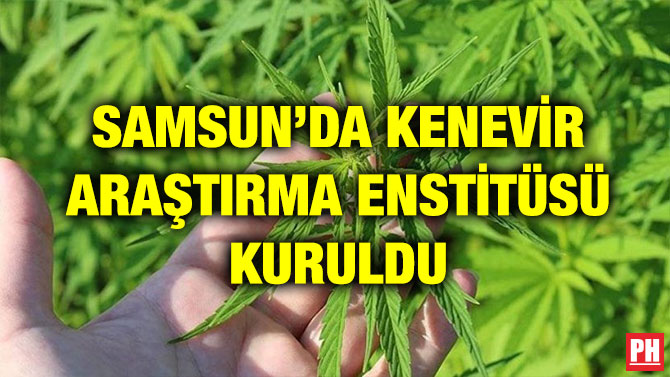 SAMSUN’DA KENEVİR ARAŞTIRMA ENSTİTÜSÜ KURULDU