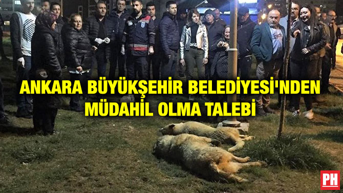 ANKARA BÜYÜKŞEHİR BELEDİYESİ’NDEN MÜDAHİL OLMA TALEBİ