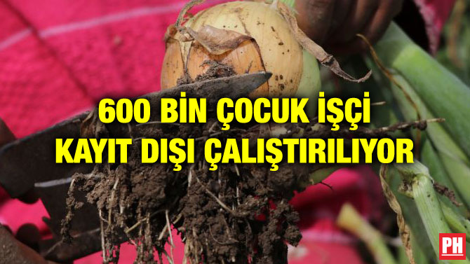 600 BİN ÇOCUK İŞÇİ KAYIT DIŞI ÇALIŞTIRILIYOR