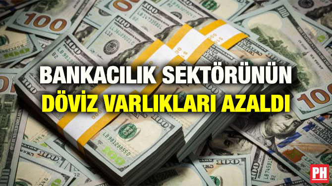 BANKACILIK SEKTÖRÜNÜN DÖVİZ VARLIKLARI AZALDI