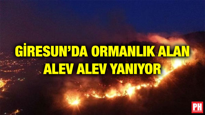 GİRESUN’DA ORMANLIK ALAN ALEV ALEV YANIYOR