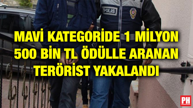 MAVİ KATEGORİDE 1 MİLYON 500 BİN TL ÖDÜLLE ARANAN TERÖRİST YAKALANDI
