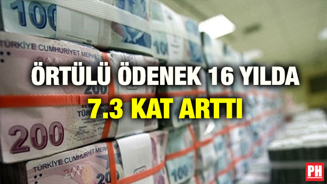 ÖRTÜLÜ ÖDENEK 16 YILDA 7.3 KAT ARTTI