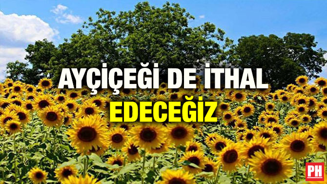 AYÇİÇEĞİ DE İTHAL EDECEĞİZ
