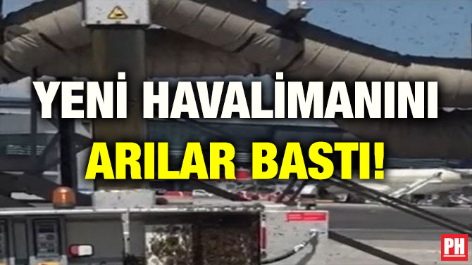 YENİ HAVALİMANINI ARILAR BASTI!