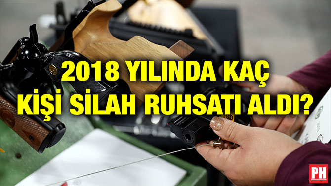 2018 YILINDA KAÇ KİŞİ SİLAH RUHSATI ALDI?