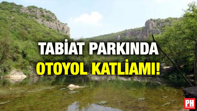 TABİAT PARKINDA OTOYOL KATLİAMI!