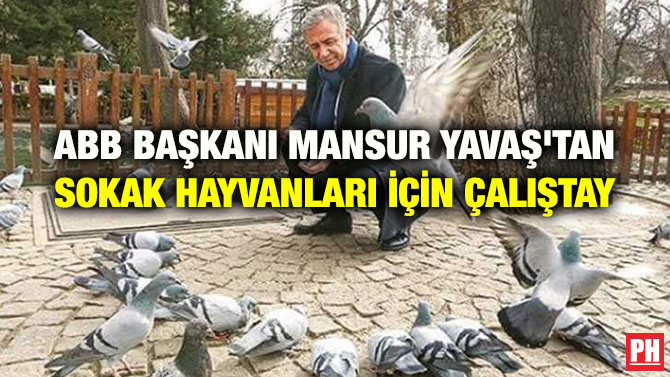 ABB BAŞKANI MANSUR YAVAŞ’TAN SOKAK HAYVANLARI İÇİN ÇALIŞTAY
