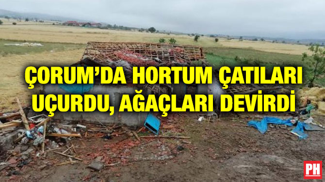 ÇORUM’DA HORTUM ÇATILARI UÇURDU, AĞAÇLARI DEVİRDİ