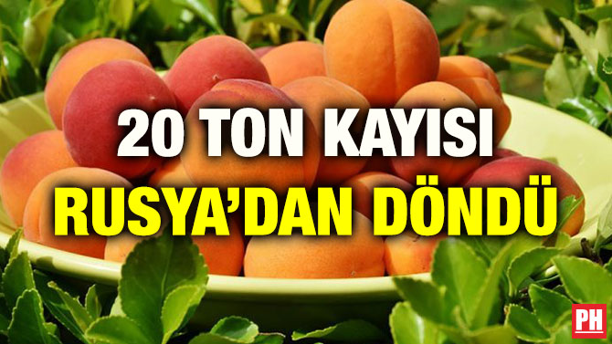 20 TON KAYISI RUSYA’DAN DÖNDÜ