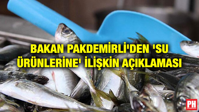 BAKAN PAKDEMİRLİ’DEN ‘SU ÜRÜNLERİNE’ İLİŞKİN AÇIKLAMASI