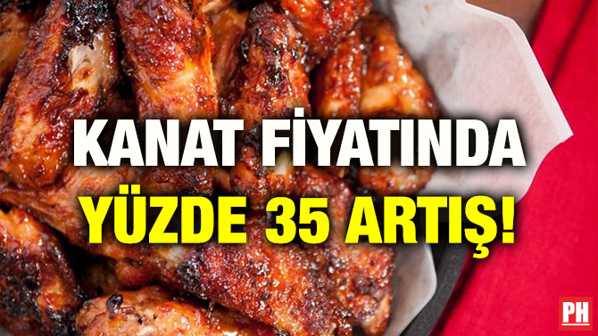 KANAT FİYATINDA YÜZDE 35 ARTIŞ!
