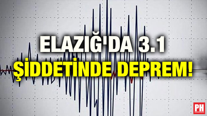 ELAZIĞ’DA 3.1 ŞİDDETİNDE DEPREM!