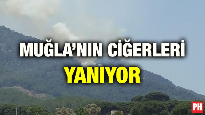 MUĞLA’NIN CİĞERLERİ YANIYOR
