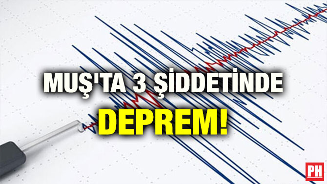 MUŞ’TA 3.3 ŞİDDETİNDE DEPREM!