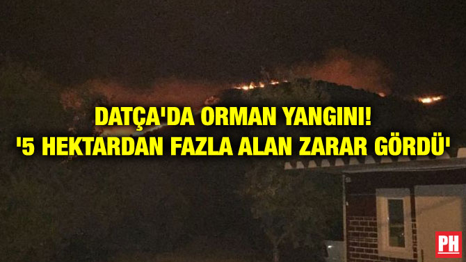 DATÇA’DA ORMAN YANGINI! ‘5 HEKTARDAN FAZLA ALAN ZARAR GÖRDÜ’