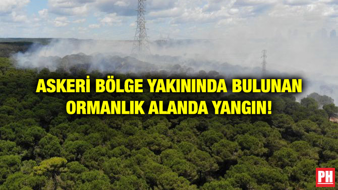 ASKERİ BÖLGE YAKININDA BULUNAN ORMANLIK ALANDA YANGIN!
